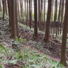 土塁