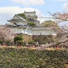 北西方向より二の丸土橋越しに本丸櫓、天守閣を望む