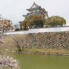 西側から、内堀、本丸石垣、土塀、天守閣