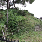 高土塁の東断面