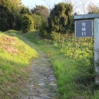 登城口、先は西の帯曲輪