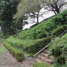 高土塁下より西向きに見る