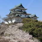 桜に浮かぶ和歌山城天守閣
