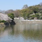 広い東濠と東濠石垣と残存土塀、天守閣を望む