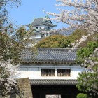 岡口門越しに天守閣を望む