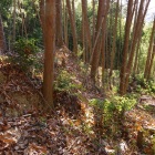 三郭の南にある竪土塁。見えている土塁の向こうにもう一本ある。