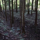 山屋敷