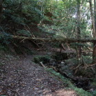 滝谷川沿い登城路