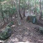 尾根筋には巨石が散乱している