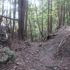 西尾根の堀切