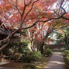松尾寺境内。紅葉が見ごろ