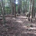 主郭の中央部には櫓台状の土壇と巨石