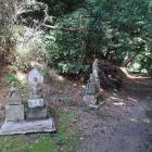 裏山へと続く道
