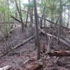 西尾根の櫓台状土壇