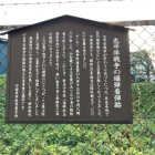 着弾跡
