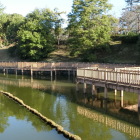 鰻堀池