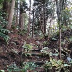 矢田城遊歩道と堀切