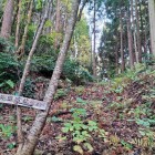 矢田城本丸手前の堀切