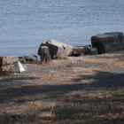 湖岸すれすれの石列、遺跡石か？
