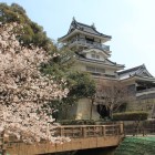 一の曲輪空堀から模擬天守を見る