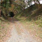 二の丸唐沢間の堀切、右が二の丸高土塁