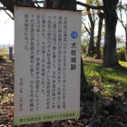 大枝城の説明板