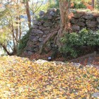二の丸大手門櫓台上の紅葉絨毯