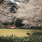 一の曲輪奥より一の曲輪堀、赤い橋を見る