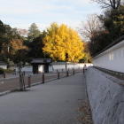 水戸学の道、三高白土塀と黄色い銀杏