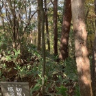 堀切