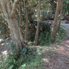 主郭側から見た土橋・空堀・馬出