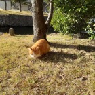 そーっと