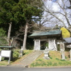 東陽寺山門　本堂後ろに大イチョウ
