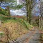 二の丸への登城路