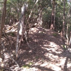 山麓部と山頂部の間の尾根道