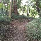 主郭の虎口