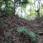 ござる坂