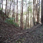 深さのある堀切