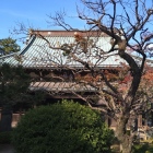 隣接する豪徳寺も城域
