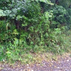 総合公園のはしにある土塁