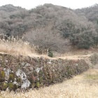 館跡の石垣