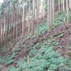 登城中の切岸？