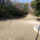 公園全景