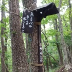 熊出没看板