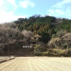 上月城遠景