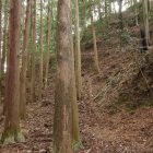 姫の丸から見上げる本城本丸切岸
