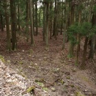 本城三の丸全景