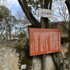 本丸跡
