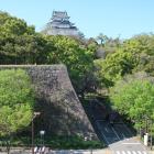 岡山から高櫓台越しに大天守を望む