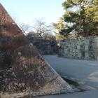 岡中門